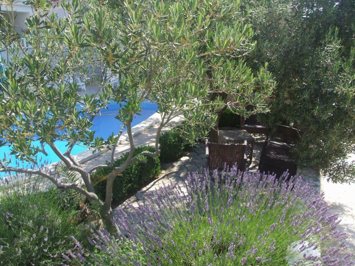 Villa Mandina سيفيد المظهر الخارجي الصورة