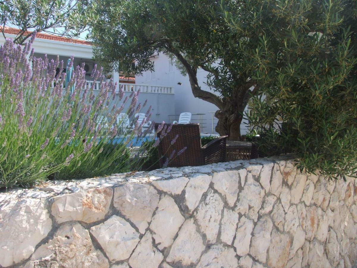 Villa Mandina سيفيد المظهر الخارجي الصورة